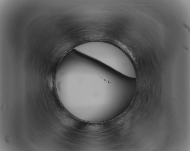 X0000091920069200709051239