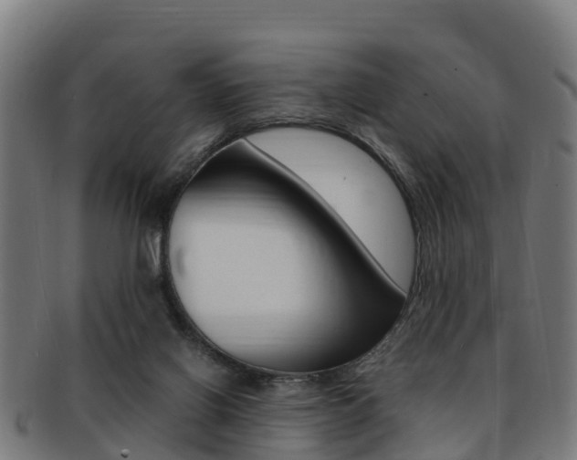 X0000091920070200709051239
