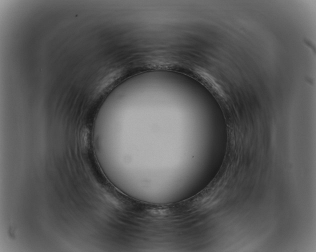 X0000091920071200709051239