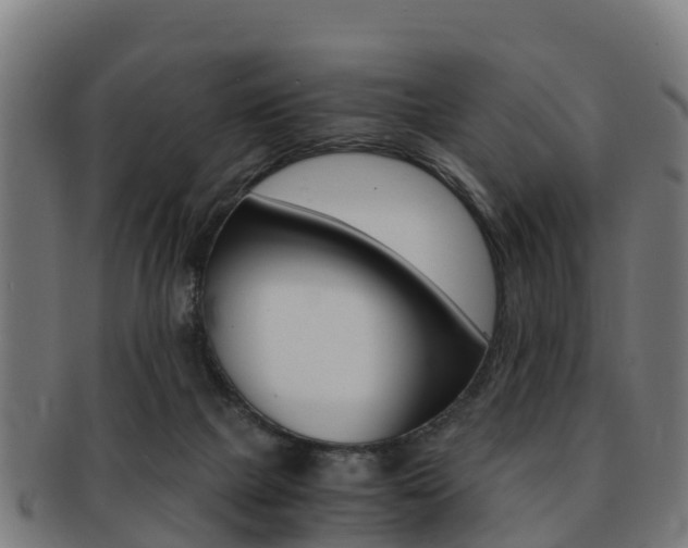 X0000091920073200709051239