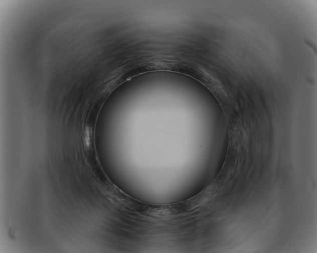 X0000091920075200709051239