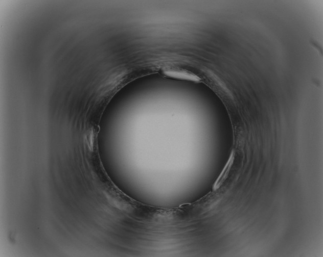 X0000091920076200709051239