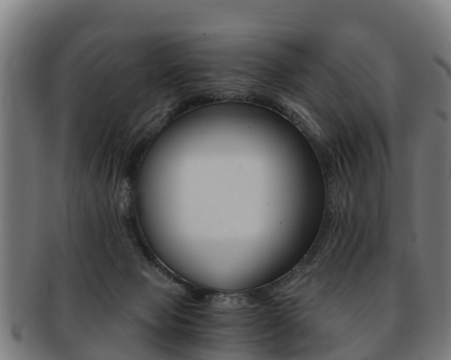 X0000091920077200709051239