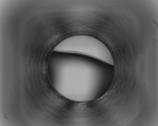 X0000091920078200709051239