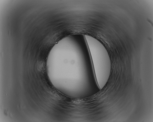 X0000091920079200709051239