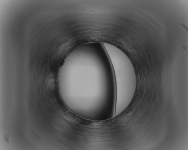 X0000091920080200709051239
