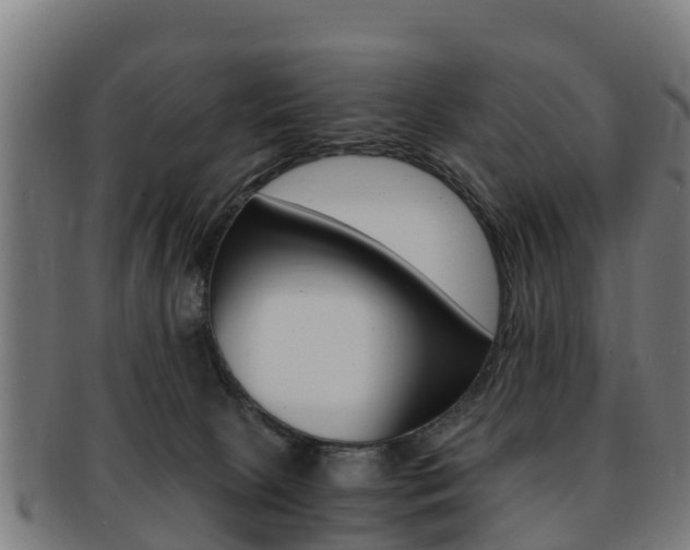 X0000091920081200709051239