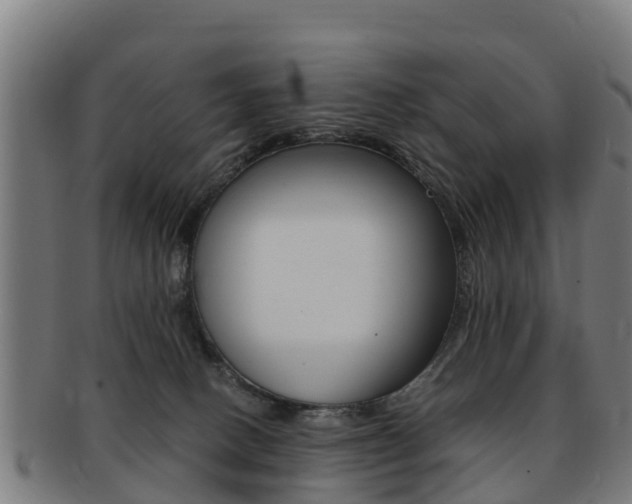 X0000091920082200709051239