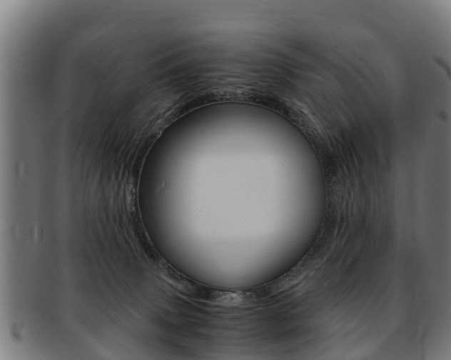X0000091920083200709051239
