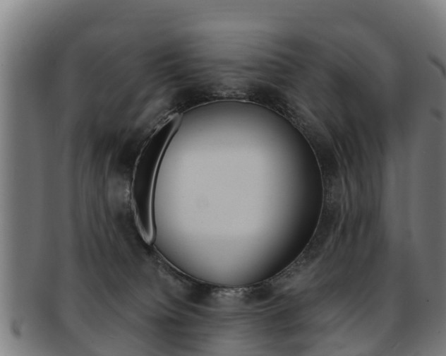 X0000091920084200709051239
