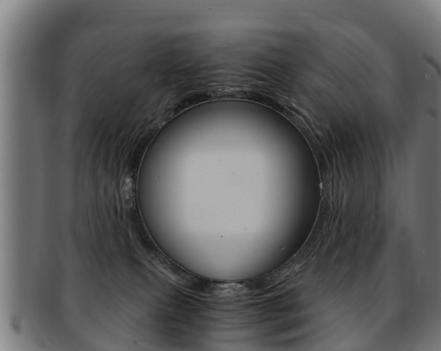 X0000091920087200709051239