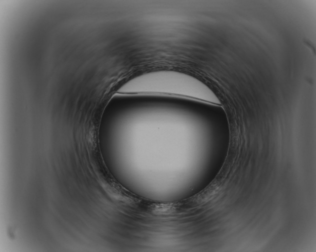 X0000091920088200709051239