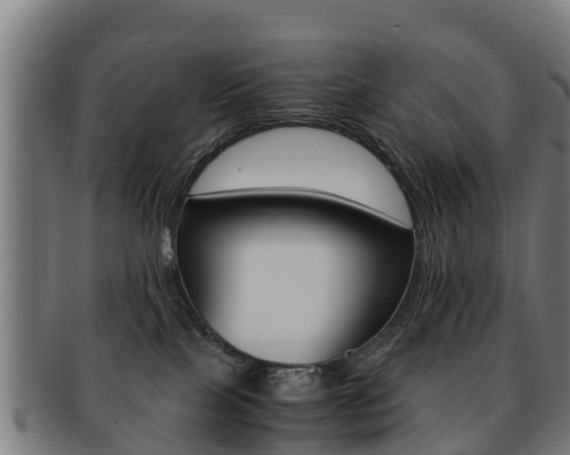 X0000091920089200709051239