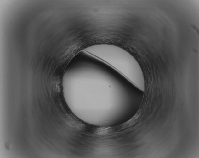 X0000091920090200709051239
