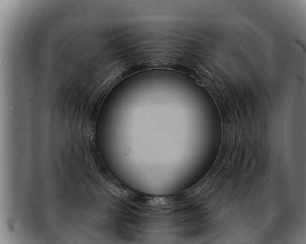 X0000091920091200709051239