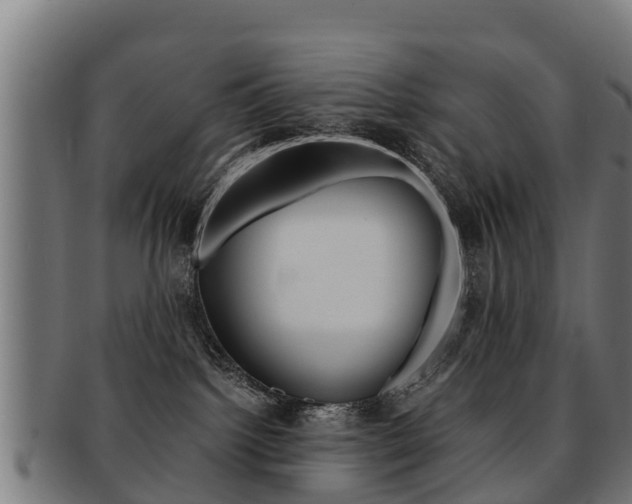 X0000091920092200709051239