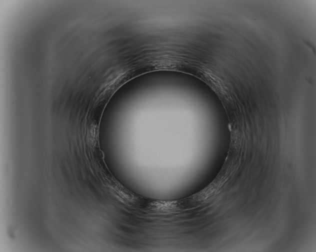 X0000091920093200709051239