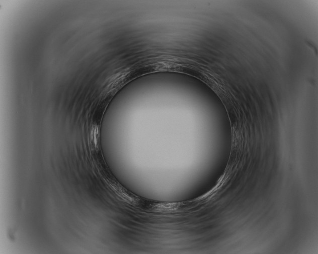 X0000091920094200709051239