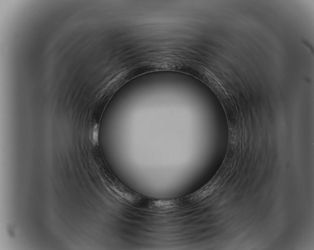 X0000091920095200709051239