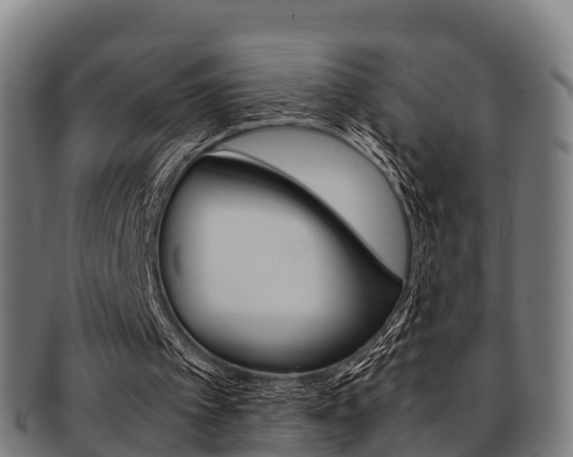 X0000091920097200709051239