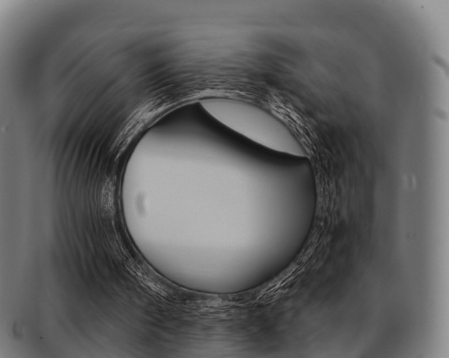 X0000091920098200709051239