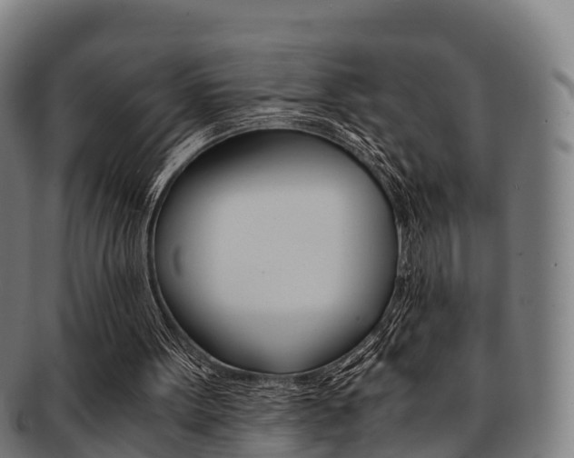 X0000091920099200709051239