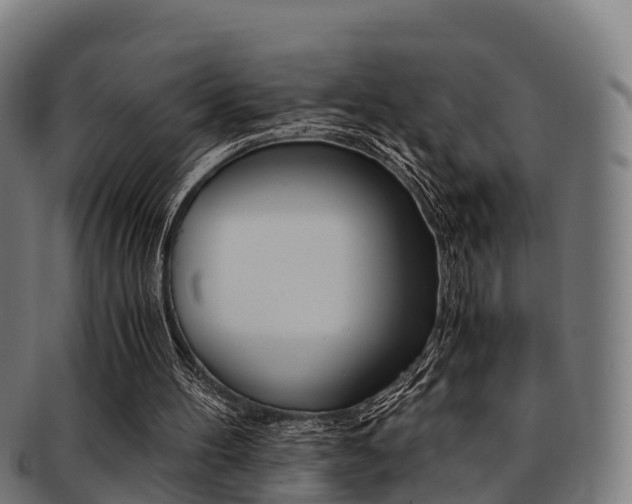 X0000091920100200709051239