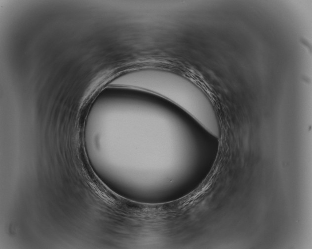 X0000091920101200709051239