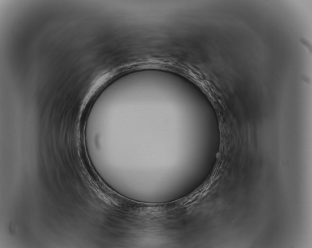 X0000091920102200709051239