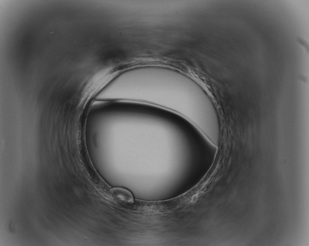 X0000091920103200709051239