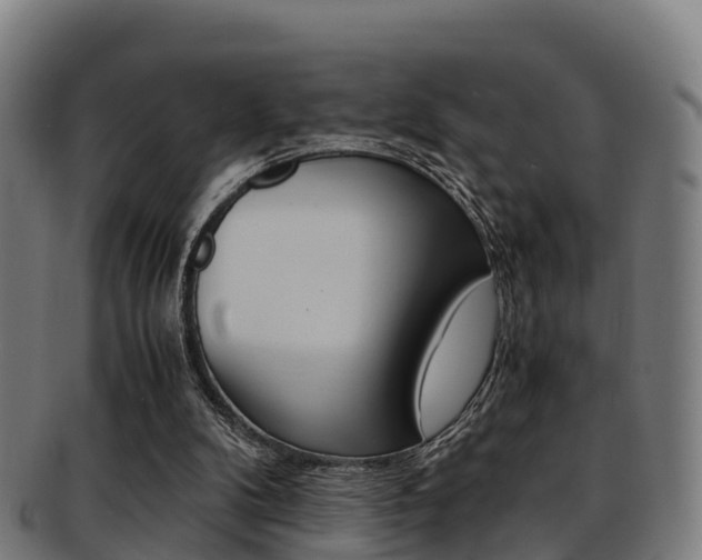 X0000091920104200709051239
