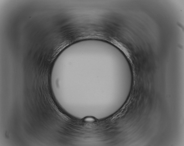 X0000091920105200709051238