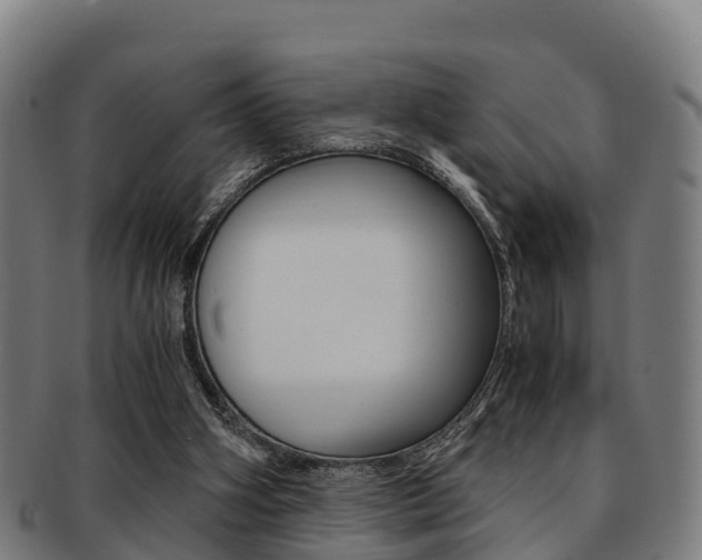 X0000091920106200709051238