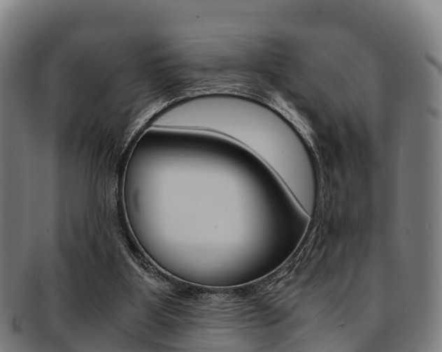 X0000091920107200709051238