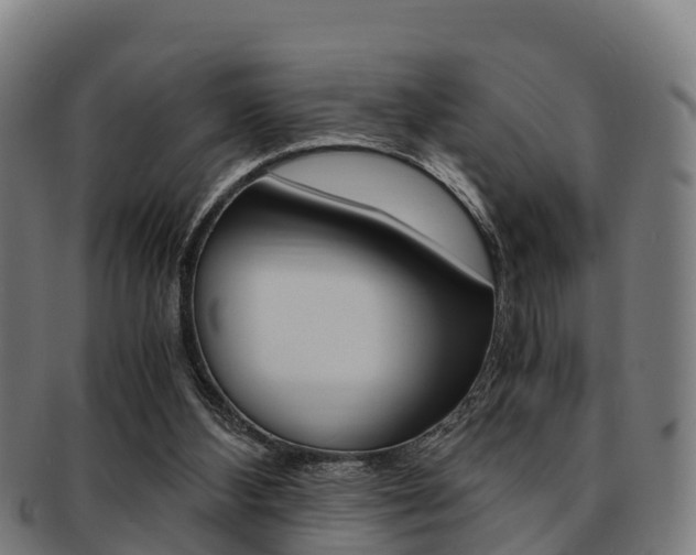 X0000091920108200709051238