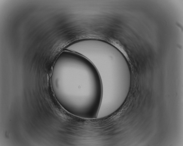 X0000091920109200709051238