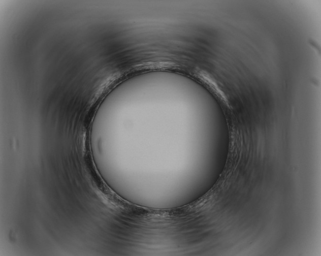 X0000091920110200709051238