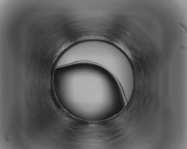X0000091920111200709051238