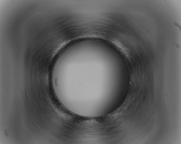 X0000091920112200709051238