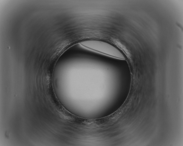 X0000091920113200709051238