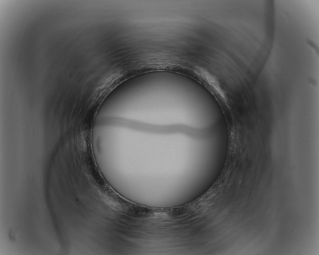 X0000091920114200709051238