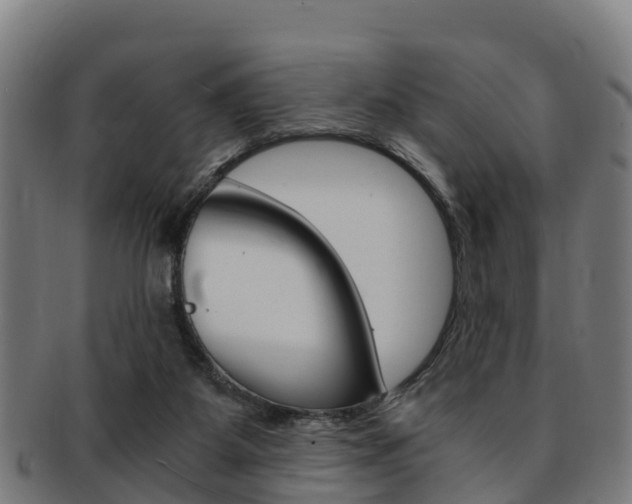 X0000091920115200709051238