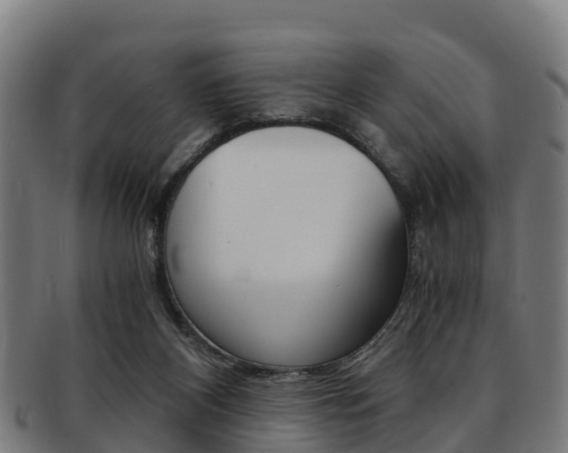 X0000091920116200709051238
