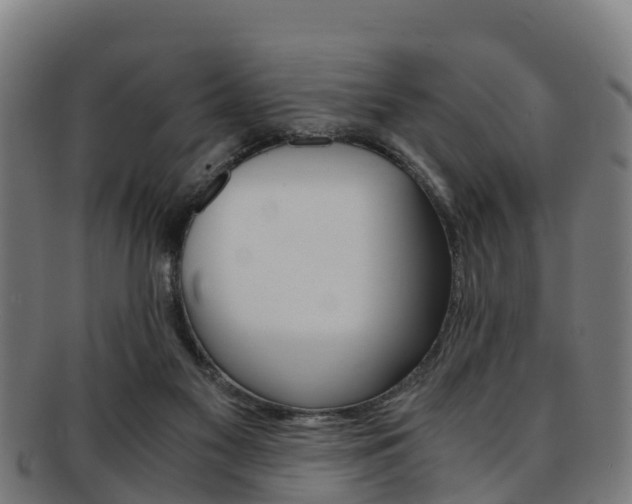 X0000091920117200709051238