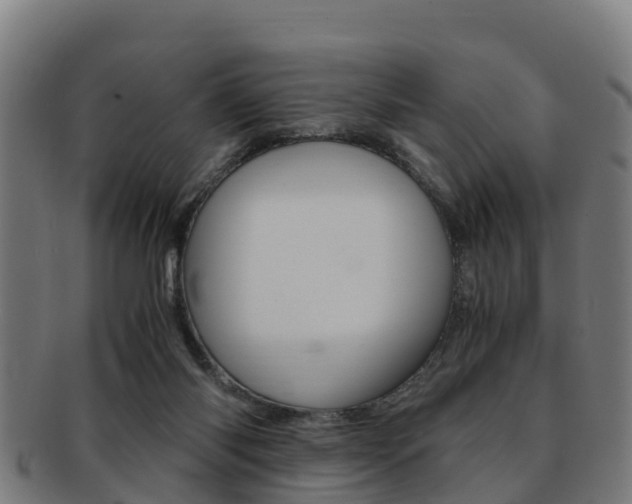 X0000091920118200709051238