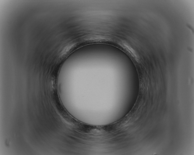 X0000091920119200709051238