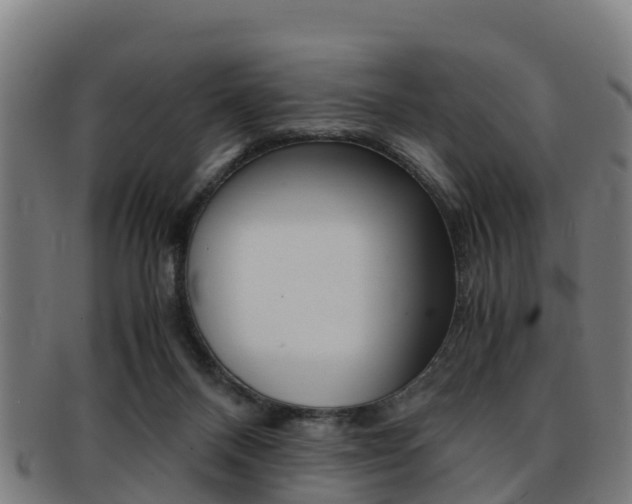 X0000091920120200709051238