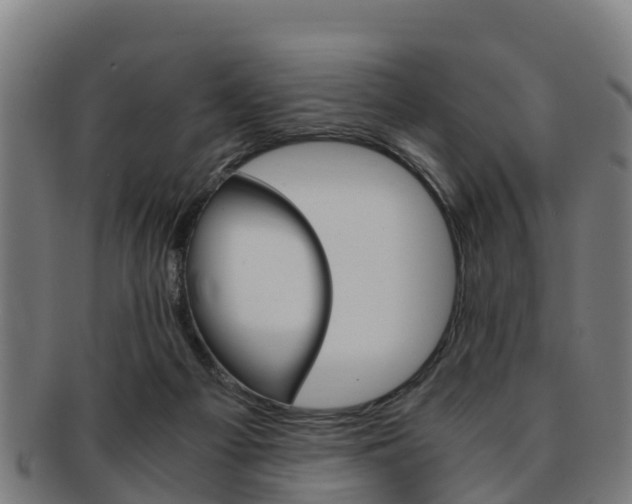 X0000091920121200709051238