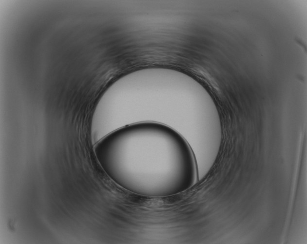 X0000091920123200709051238