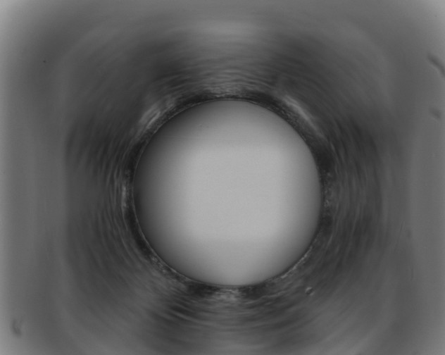 X0000091920124200709051238